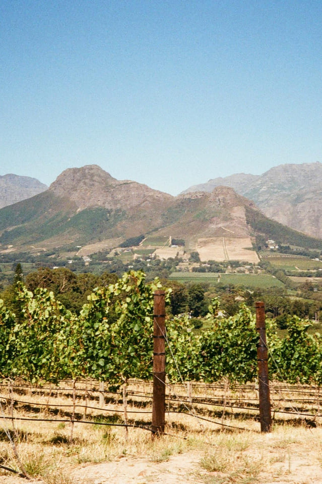 cape town winelands